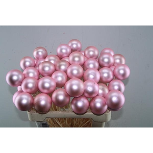 X-mas Ball Rose Mat