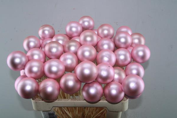 <h4>Droog X-mas Ball Rose Matt</h4>