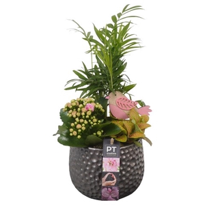 PTIB6458 Arrangement Indoor in keramiek pot