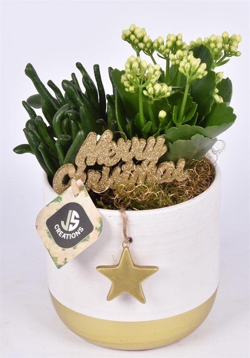 <h4>Keramiek met goud ster 13cm</h4>