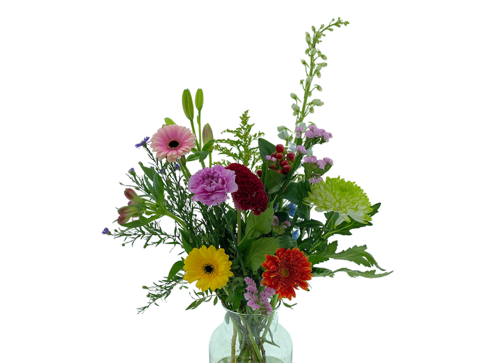<h4>BQ Field Fleur</h4>