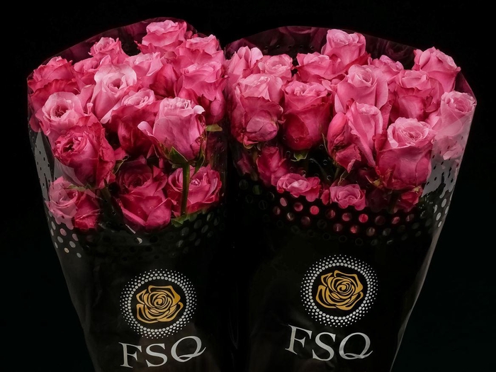 <h4>R GR All 4 Love</h4>