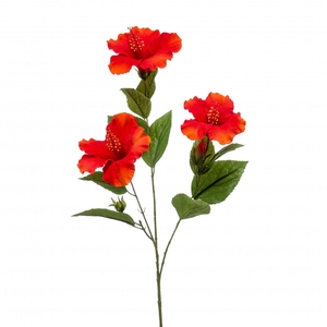 Hibiscus 82cm