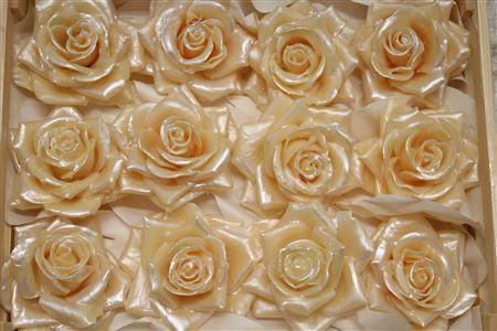 Wax Roos Pearl Zalm
