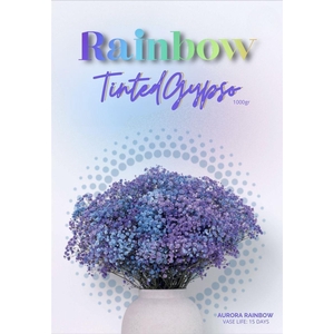 Gyps Xlence Aurora Rainbow X25 40gr