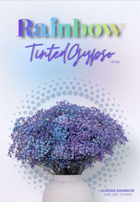 <h4>Gyps Xlence Aurora Rainbow X25 40gr</h4>