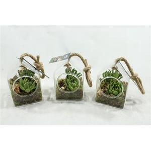 2108 Huisje Hang Succ