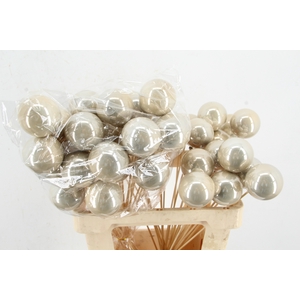 Stick Ball C. Ø6 Champ. Pearl