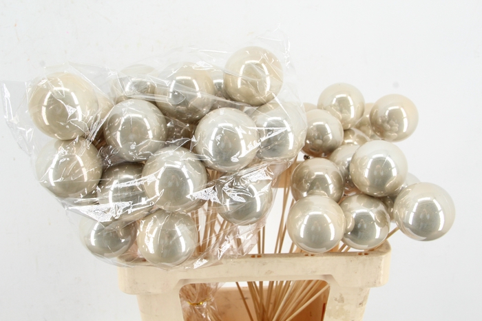 <h4>Stick Ball C. Ø6 Champ. Pearl</h4>