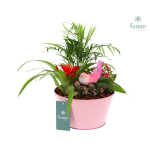 Zink schaal rond Voorjaar met Arrangement verschillende kleuren