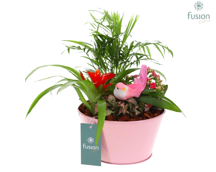 <h4>Zink schaal rond Voorjaar met Arrangement verschillende kleuren</h4>