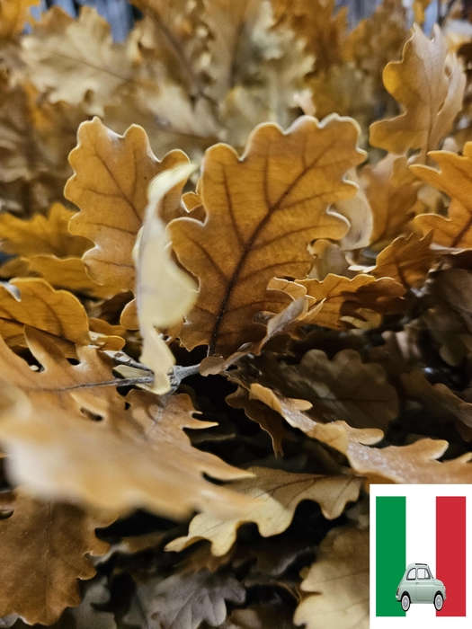 <h4>GESTABILISEERD EIK GEEL</h4>