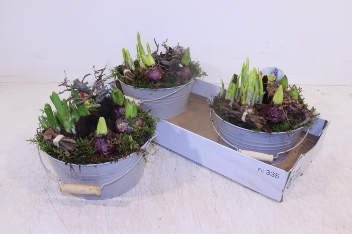 <h4>ARR BOL KNOLGEWAS</h4>