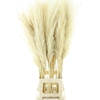 Corta Dried Bleached White