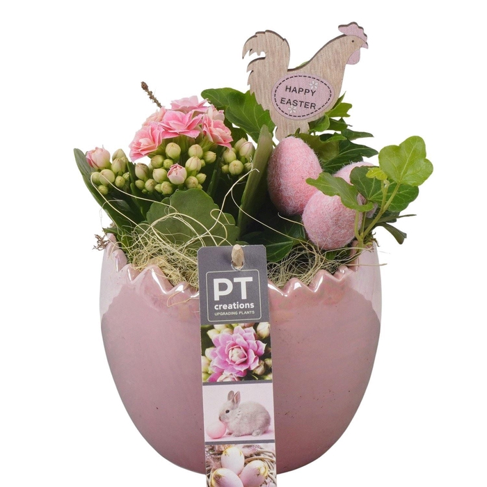 <h4>Arr. Pasen L%</h4>