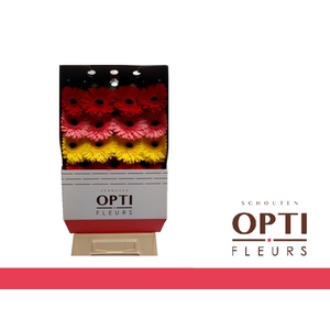 GE GR GEM 4 KLEUREN MIX-Diamond