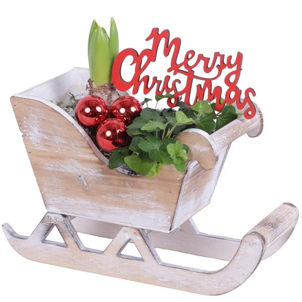 <h4>Arrangementen Hyacinthus 6%</h4>