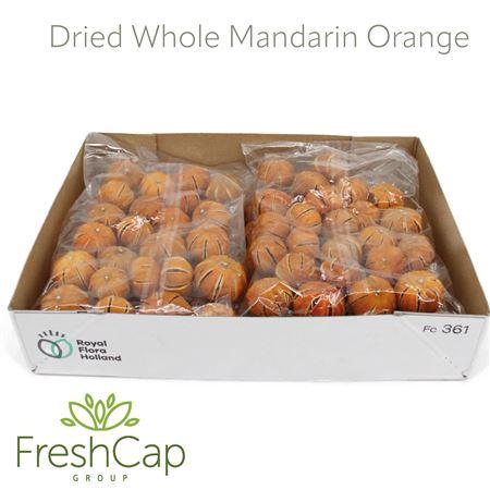 <h4>Dried Whole Orange</h4>