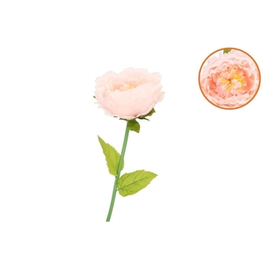 Silk Amazing Peony Beauty Peach Xxl 48x128cm