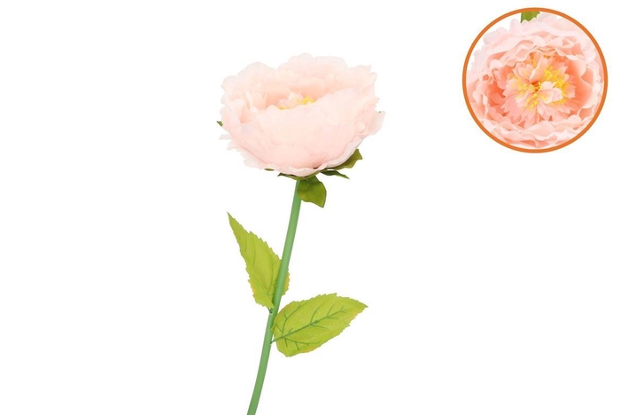 <h4>Silk Amazing Peony Beauty Peach Xxl 48x128cm</h4>