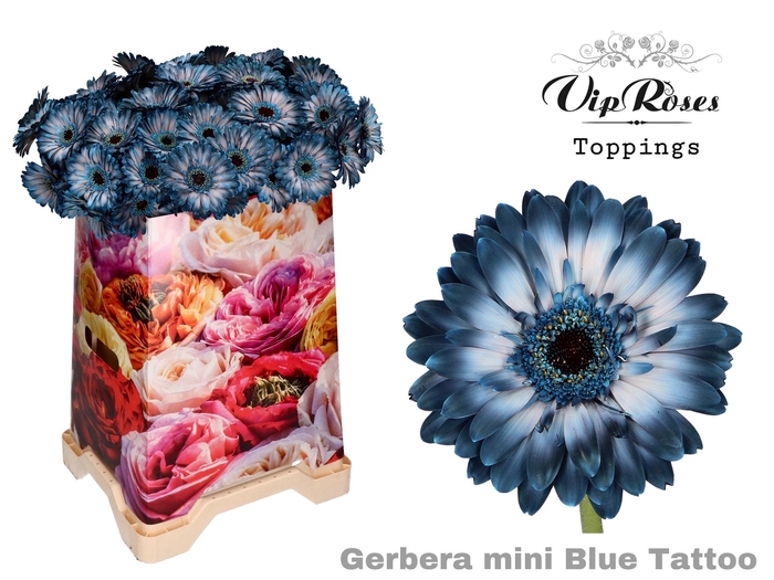 GE MI BLUE TATTOO