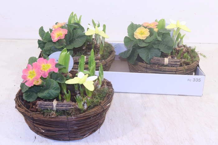 <h4>ARR TUINPLANTEN</h4>