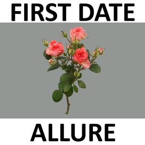 R TR FIRST DATE