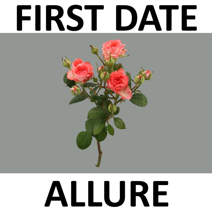 <h4>R TR FIRST DATE</h4>