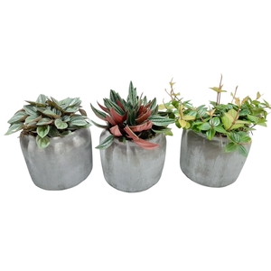 RGP16GEM Dark Grey Pot Groenmix