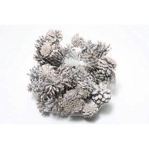 Pinecone Oostenrijker 1kg