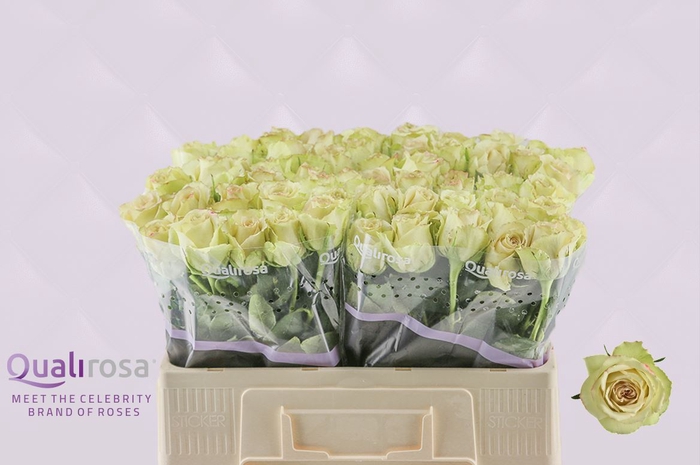 <h4>R Gr Hypnose</h4>