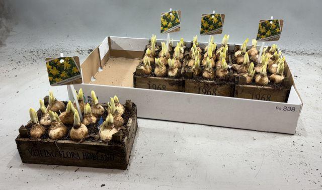 <h4>Arr N Tete A Tete</h4>