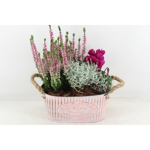 arr4 Outdoor PL - Zink old pink ovaal