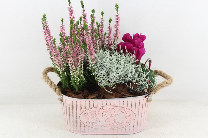 <h4>arr4 Outdoor PL - Zink old pink ovaal</h4>