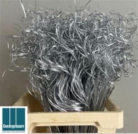 <h4>Ting Ting H% Silver</h4>