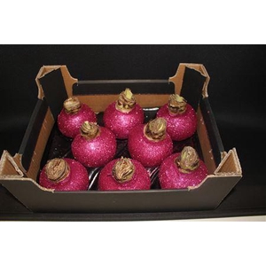 Amaryllis Topline Fuccia