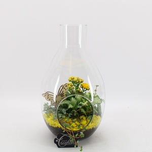 BACR-2505G Basic fundamentals terrarium