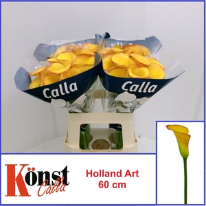 ZANT HOLLAND ART