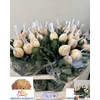 CHRYSANTHEMUM PL 'VIENNA COPPER'