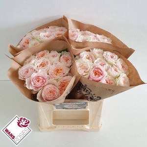 Rosa Garden Victorian Bride
