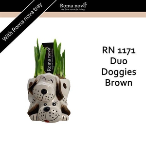 arr4 Narcis RN - Duo doggies brown