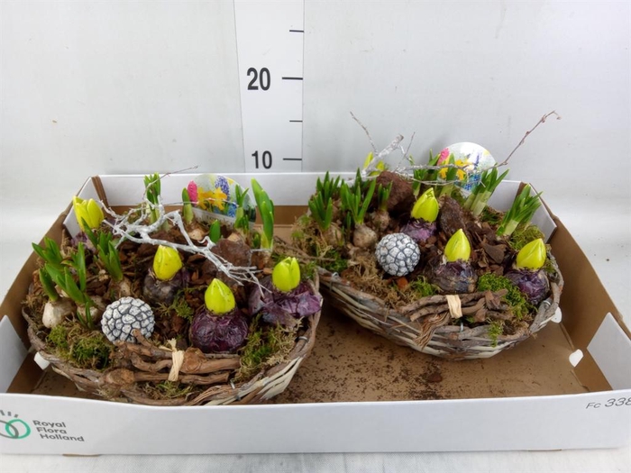 <h4>Arr.   Bol/Knolgewas L%</h4>