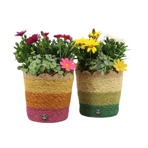 31683: Outdoor summer arrangement