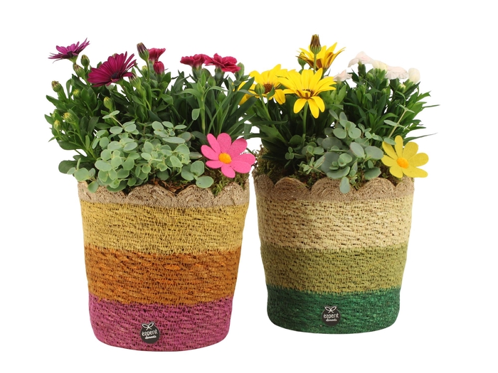 <h4>31683: Outdoor summer arrangement</h4>