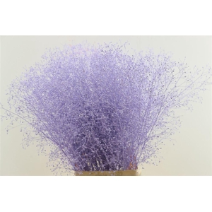 Snijbloemen overig kleurbehandeld H%