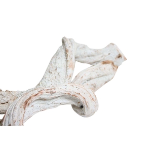 Branch Cipo Rosca L100D6