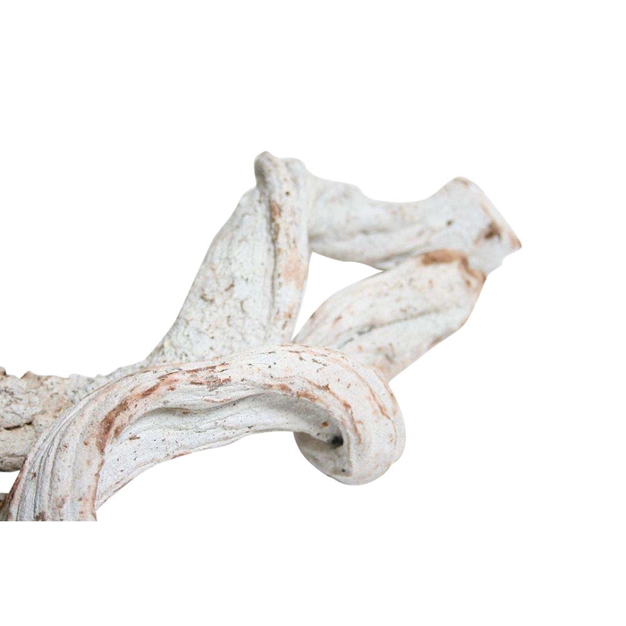 <h4>Branch Cipo Rosca L100D6</h4>