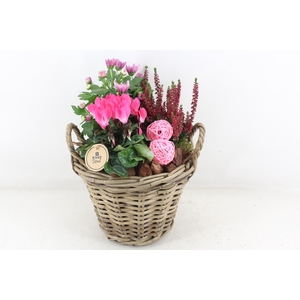 arr4 Outdoor PL - Kubumand x2