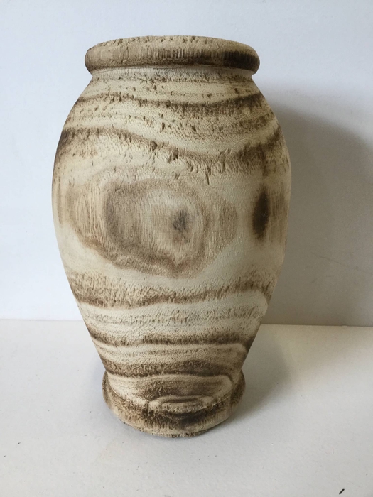 PAULOWNIA VAAS D13 H20