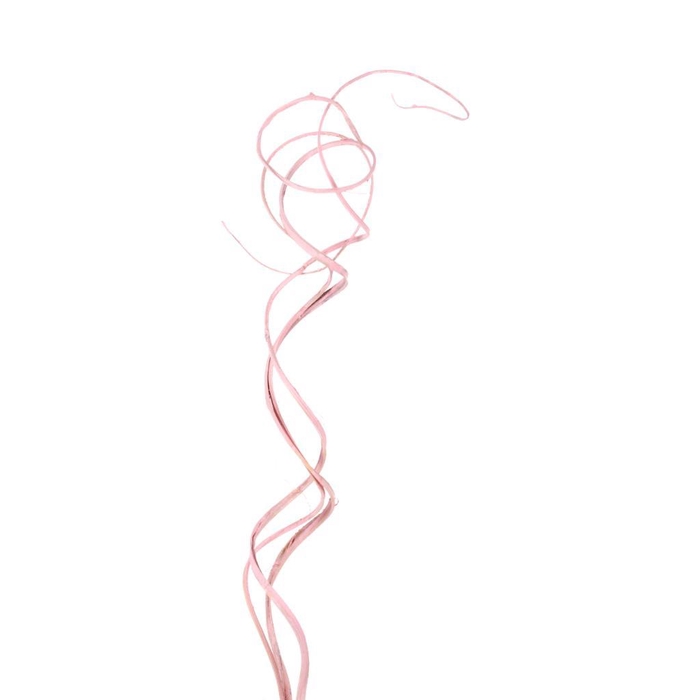 <h4>Curly Ting Ting 3pc Toef Pink Misty</h4>